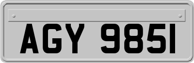 AGY9851