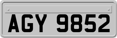 AGY9852