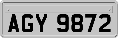 AGY9872