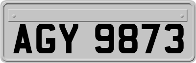 AGY9873
