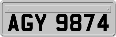 AGY9874