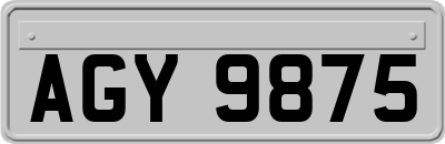 AGY9875