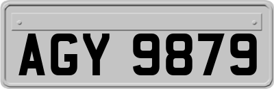 AGY9879