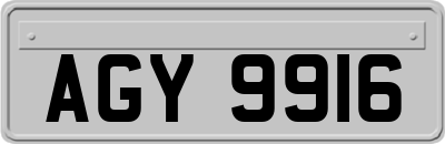 AGY9916