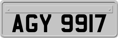 AGY9917