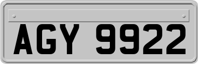 AGY9922