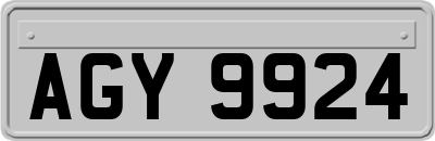 AGY9924
