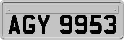 AGY9953