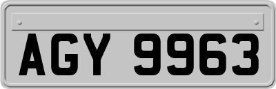 AGY9963