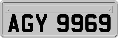 AGY9969
