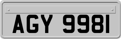 AGY9981