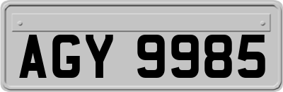 AGY9985