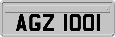 AGZ1001