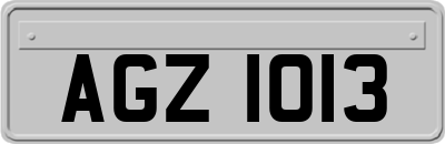 AGZ1013
