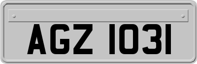 AGZ1031
