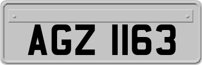 AGZ1163