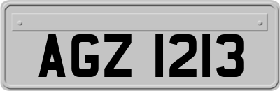 AGZ1213