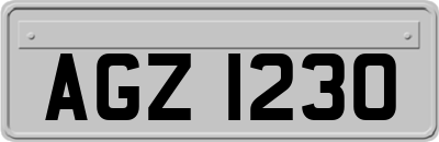 AGZ1230