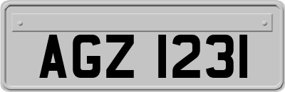 AGZ1231