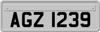 AGZ1239