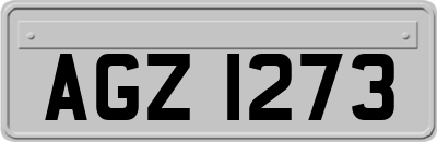 AGZ1273