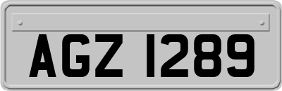 AGZ1289