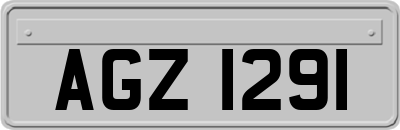 AGZ1291