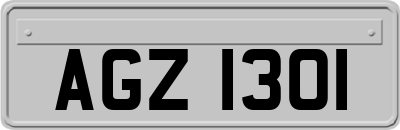 AGZ1301