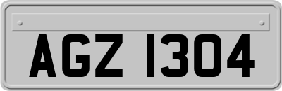 AGZ1304
