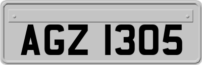 AGZ1305