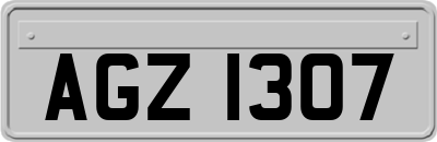 AGZ1307