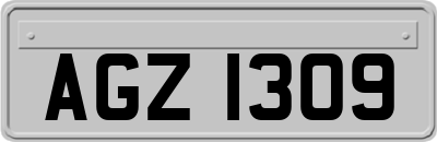 AGZ1309