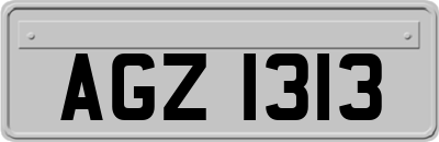AGZ1313