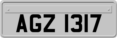 AGZ1317