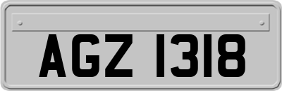 AGZ1318
