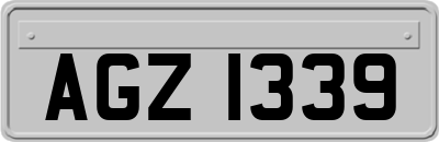 AGZ1339