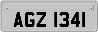 AGZ1341