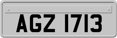 AGZ1713