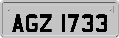 AGZ1733