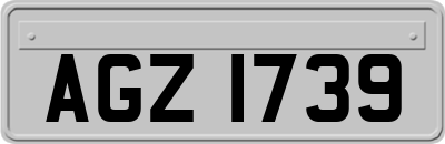 AGZ1739