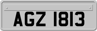 AGZ1813