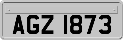 AGZ1873