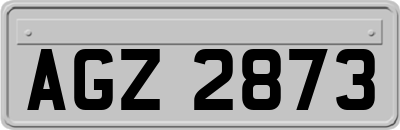 AGZ2873