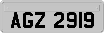 AGZ2919