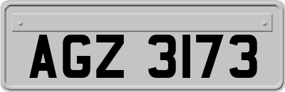 AGZ3173
