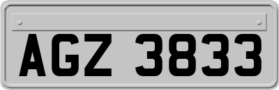 AGZ3833