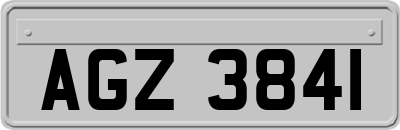 AGZ3841