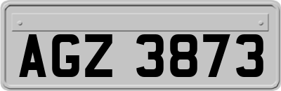 AGZ3873