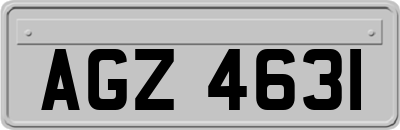 AGZ4631