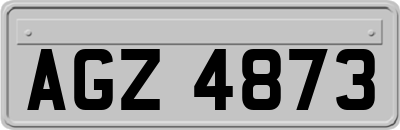 AGZ4873